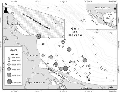 Opportunistic gillnet depredation by common bottlenose dolphins in the southwestern Gulf of Mexico: Testing the relationship with ecological, trophic, and nutritional characteristics of their prey